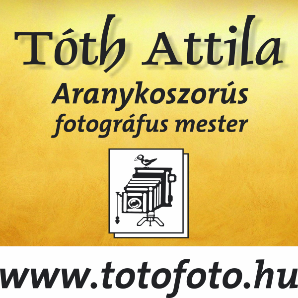 Egy ttm k d s totofoto hu
